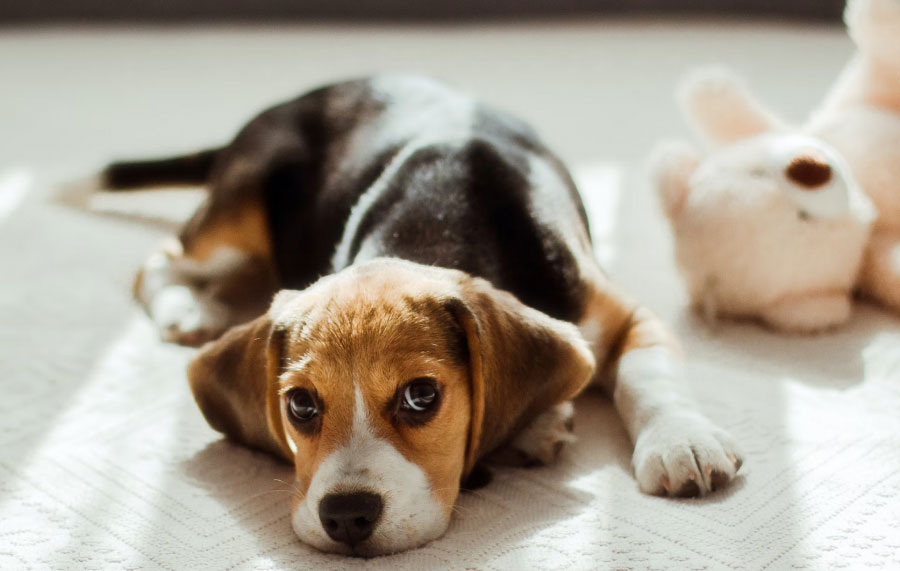 5-минутный старт